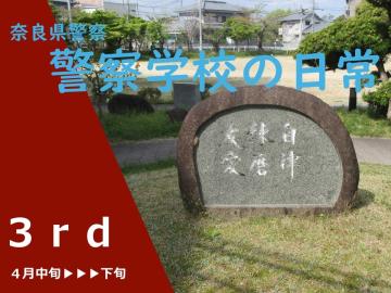 第三弾