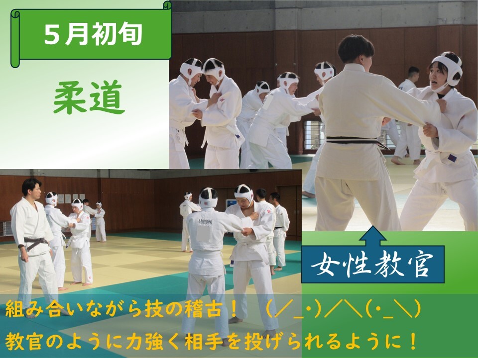 体育館で組み合い稽古をしている様子