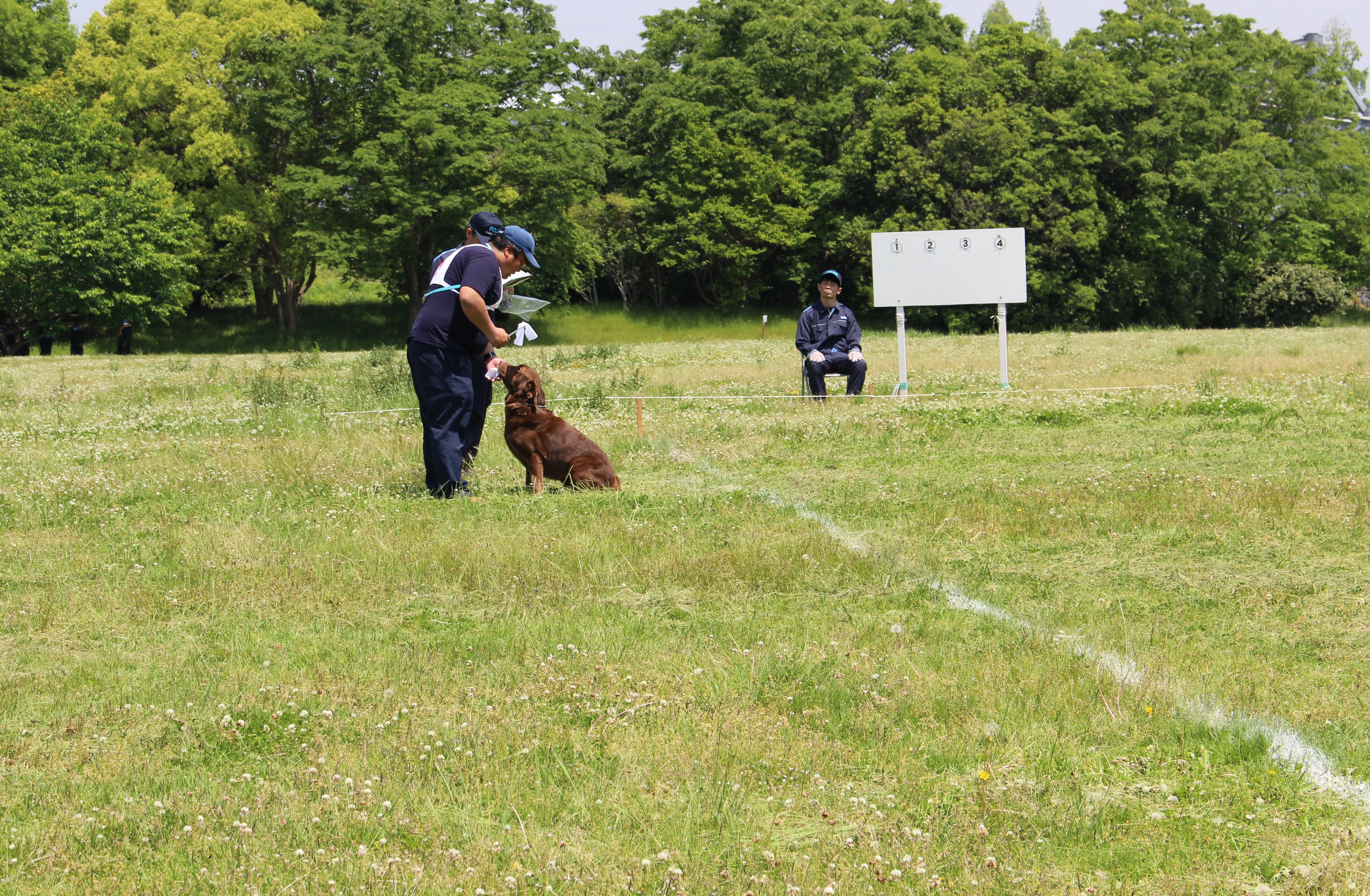 警察犬が指導者から指示を受けている様子