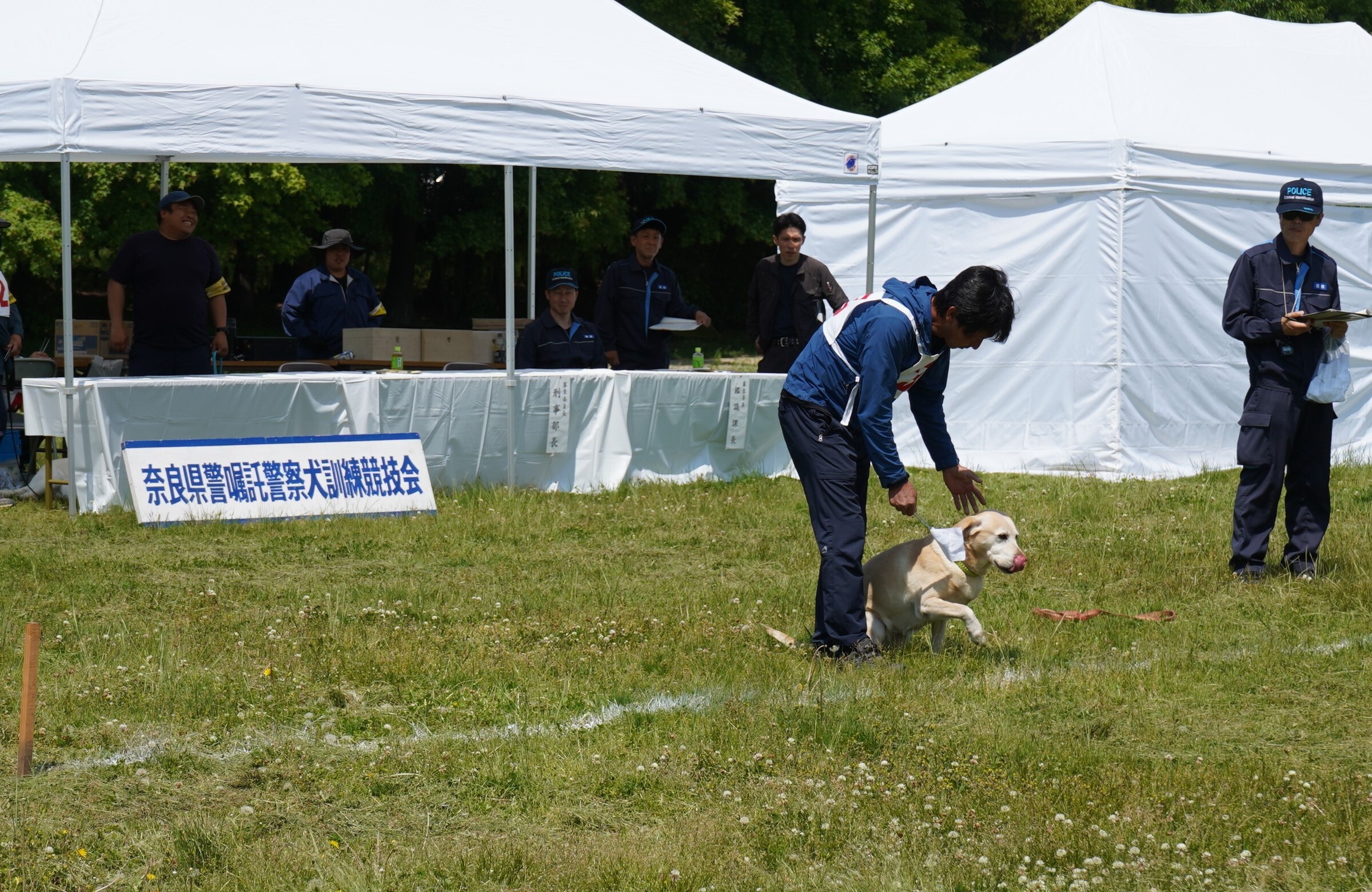 警察犬が訓練成果を披露している様子　2