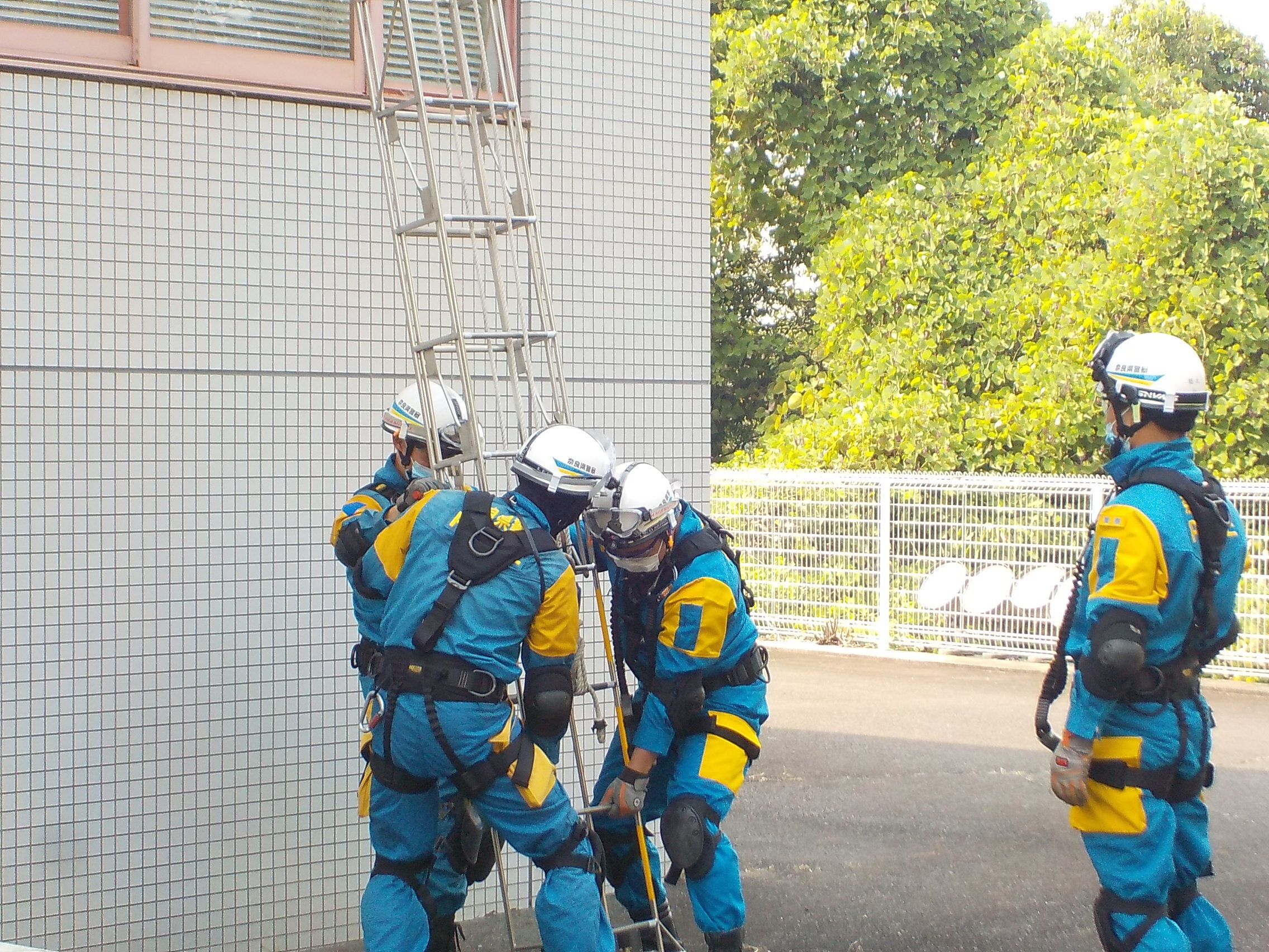 訓練で機動隊員が建物の外壁にはしごを取り付けている様子