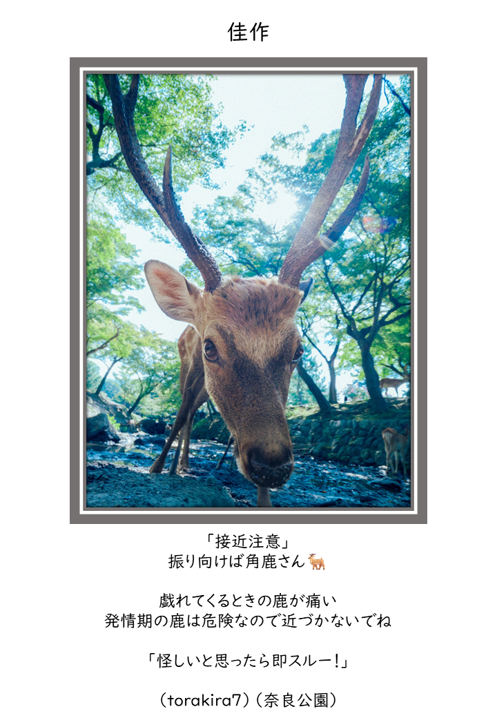 佳作1