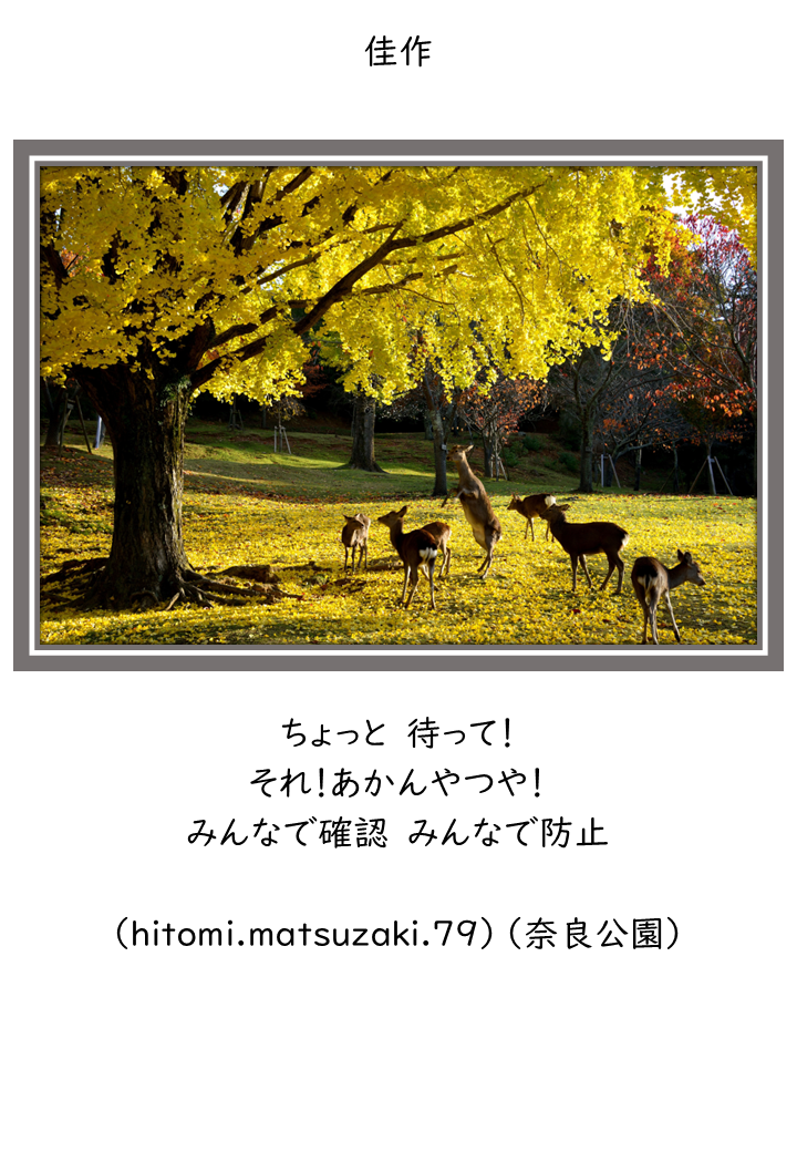 佳作2