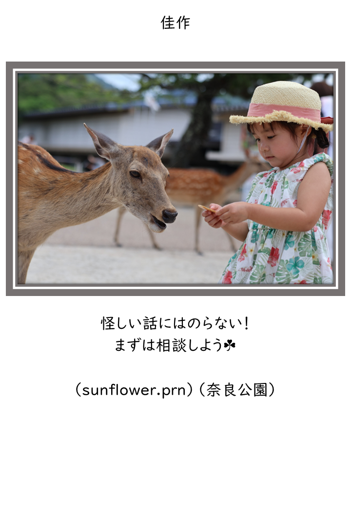佳作3