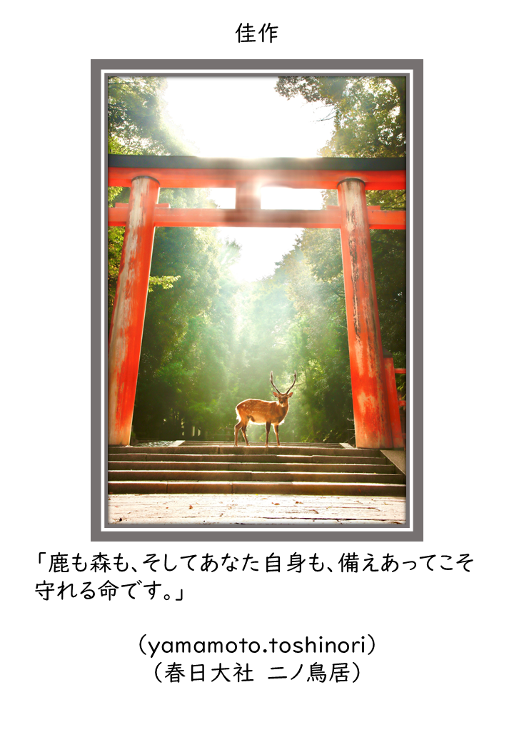 佳作5