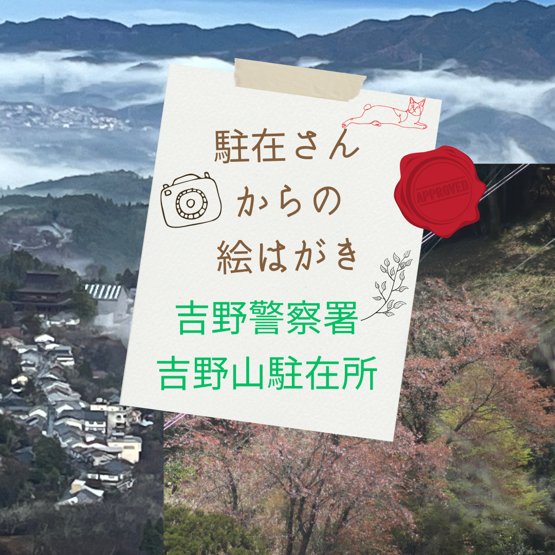 駐在さんからの絵はがき　吉野山駐在所