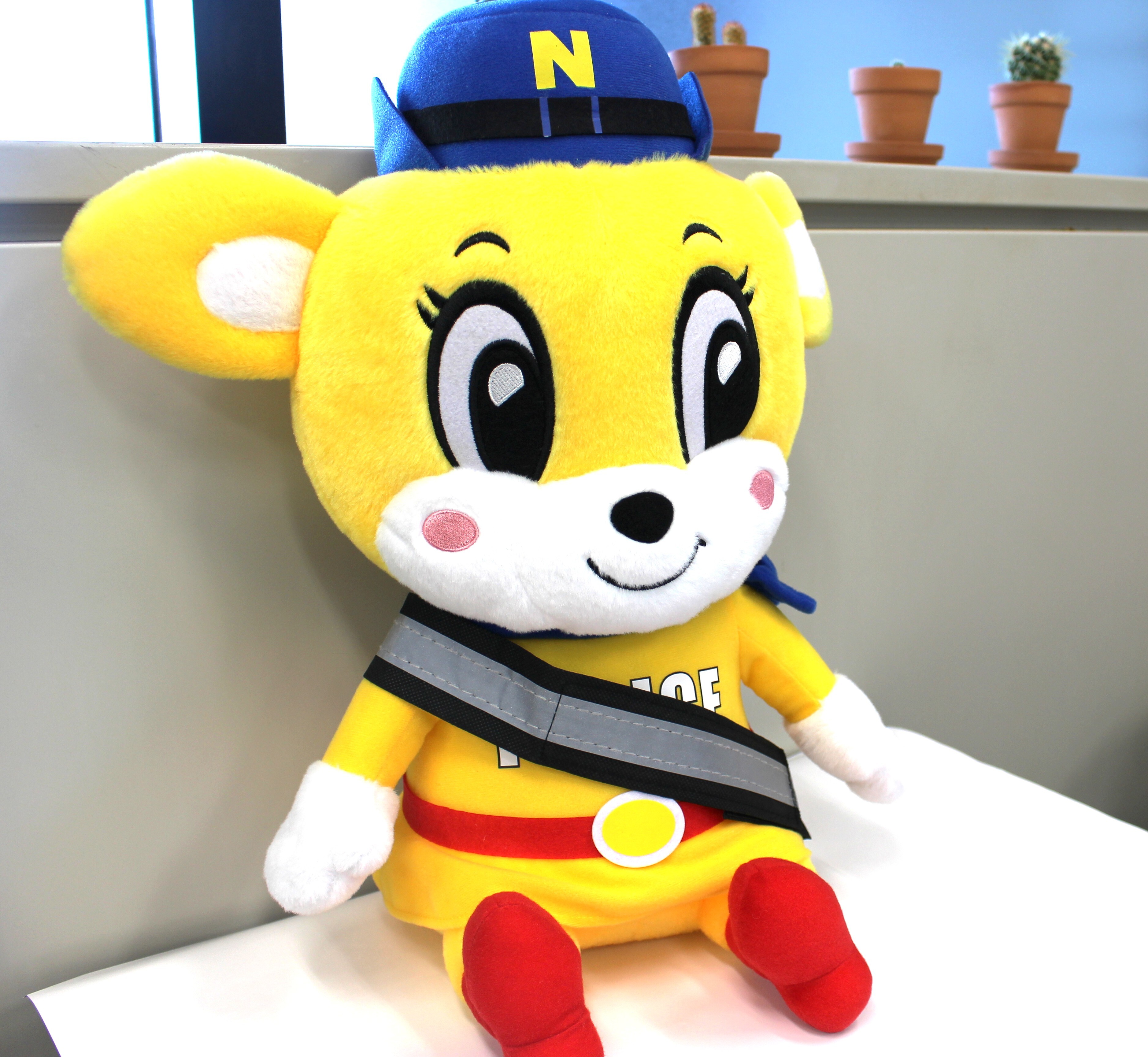 ナピちゃんの画像