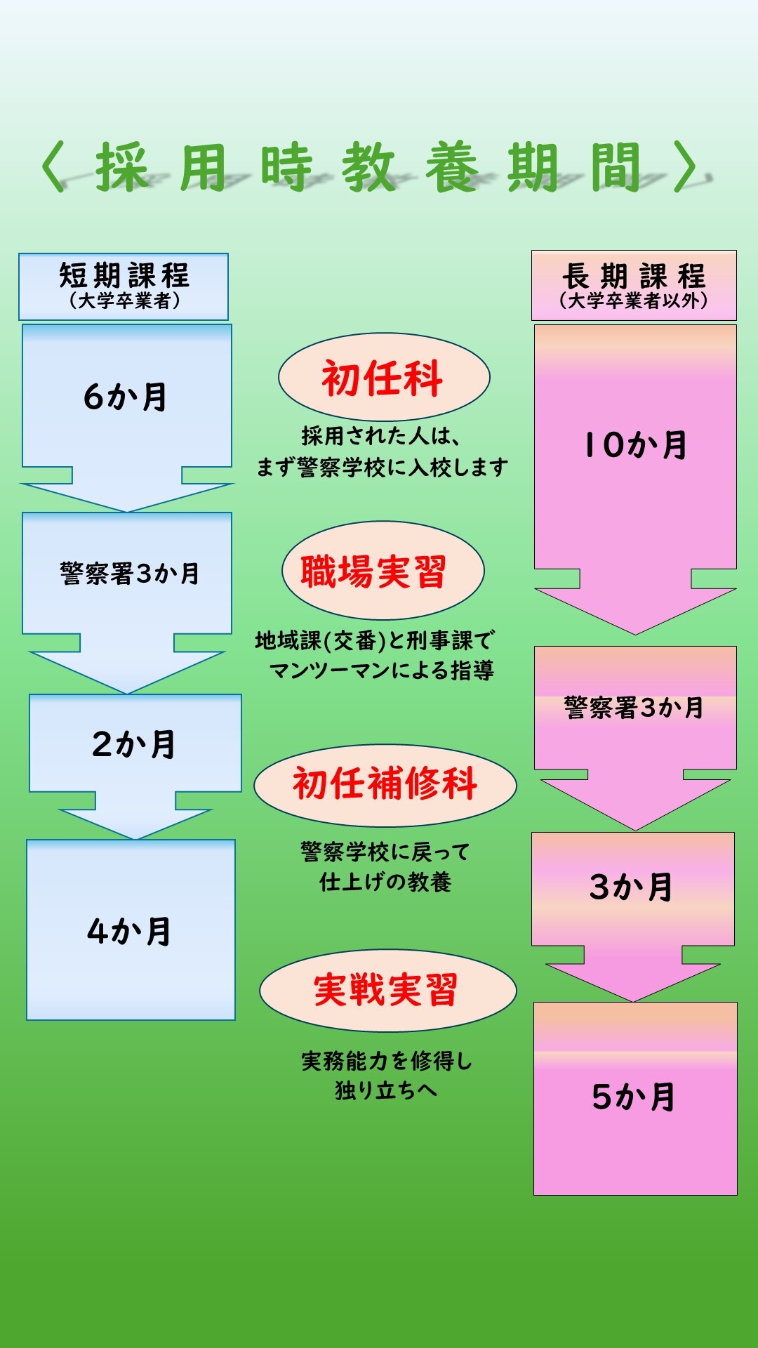 採用時教養期間についての説明