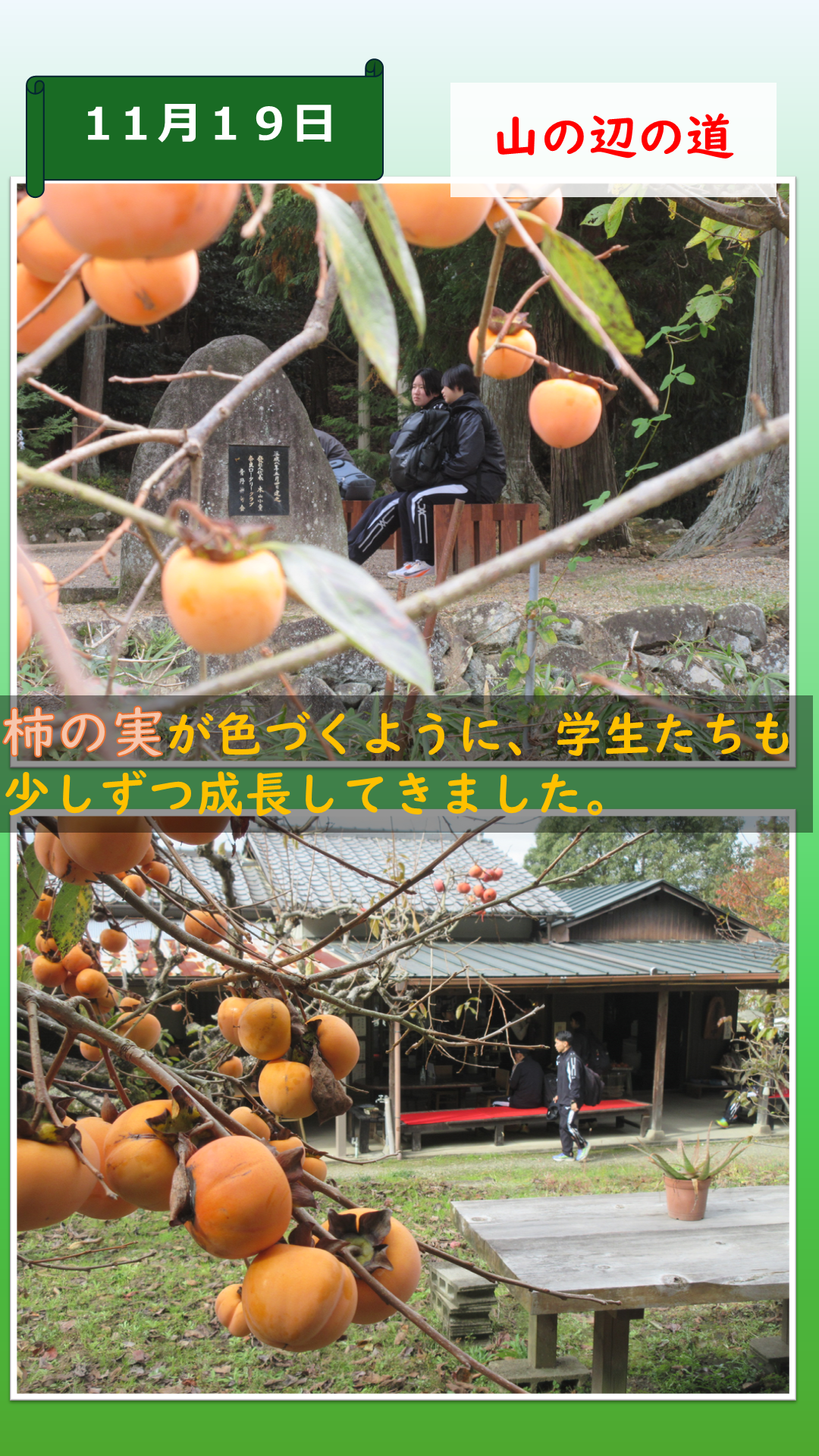 生徒が柿の木の前を歩いている様子