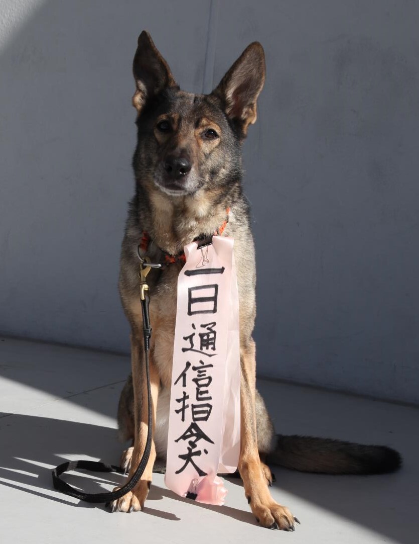 天理駅前広場コフフン「110番の日」のイベントのようす2