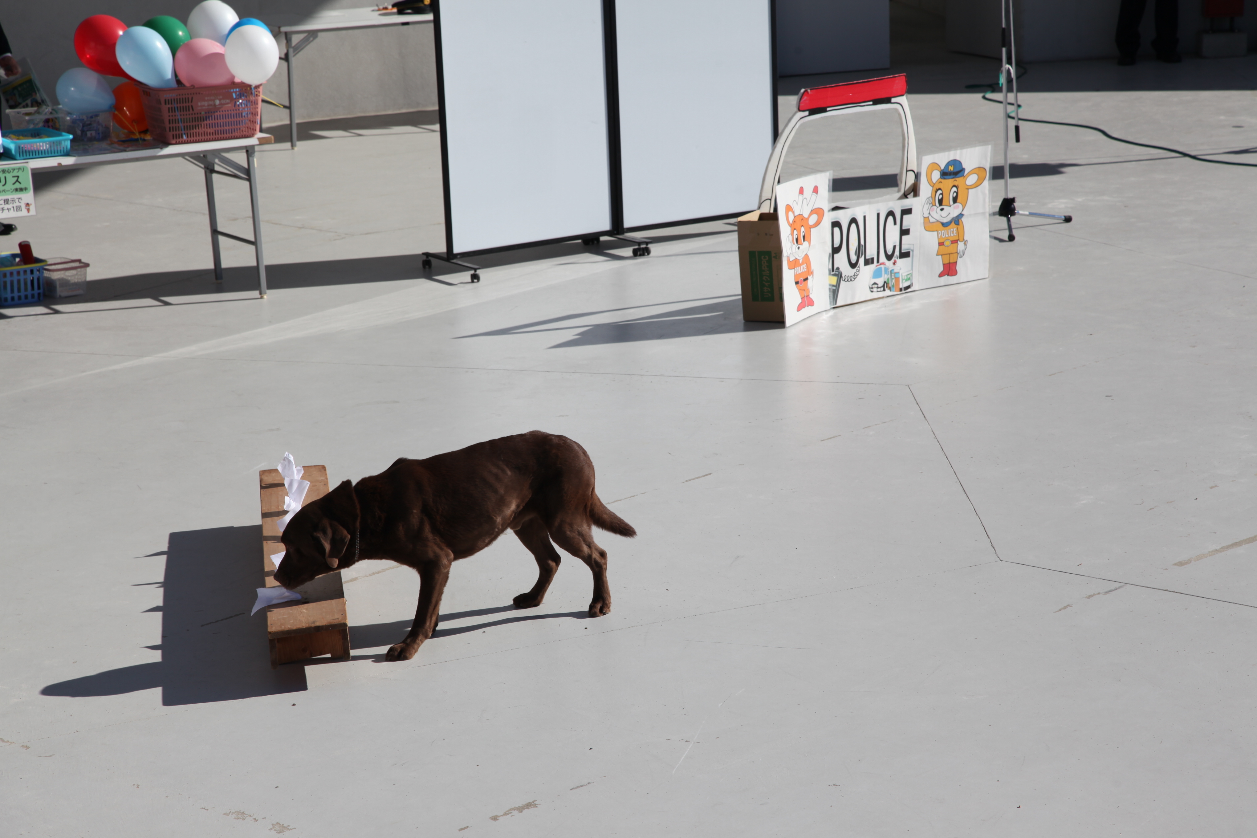 天理駅前広場コフフン「110番の日」のイベントのようす3