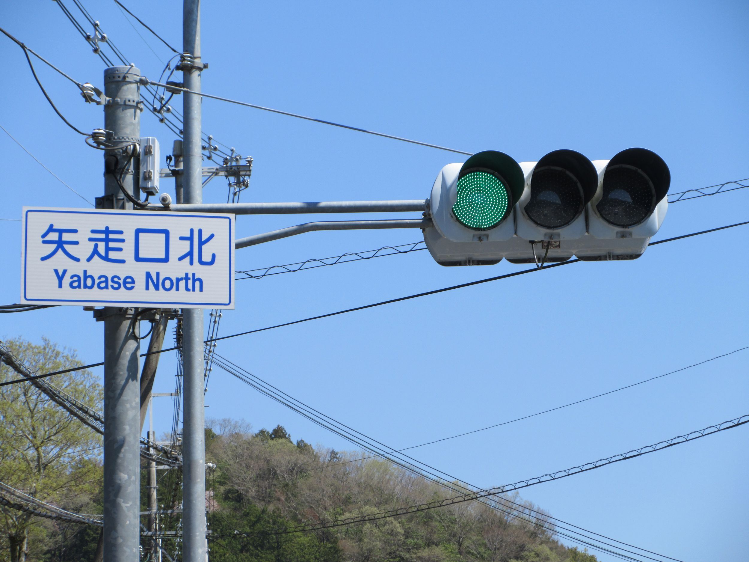 信号機の写真2