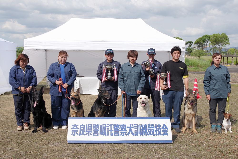 奈良県警察嘱託警察犬訓練競技会のようす1