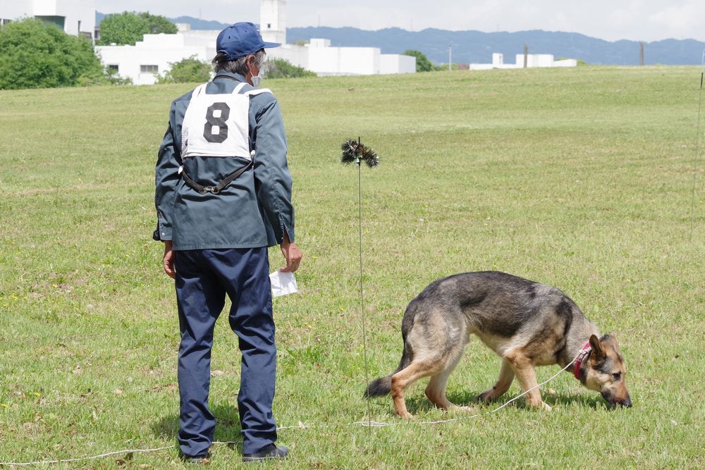 奈良県警察嘱託警察犬訓練競技会のようす2