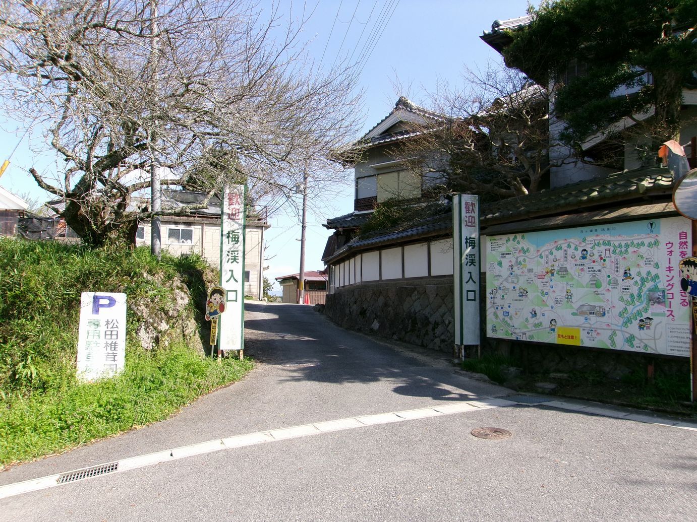 月ヶ瀬梅渓の写真